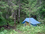 Лагерь расположили по краю леса