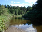 Кобра