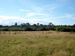 Село Кобра