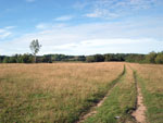 Дорога