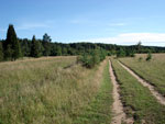 Дорога