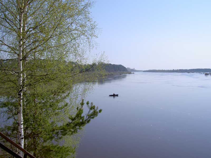 Кука реку. Большая Какша река. Река Какша Нижегородской области. Река Какша. Устье реки Ветлуга.