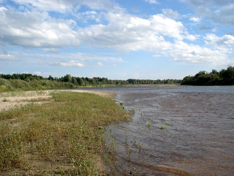 Уровень воды в унже сегодня. Река Унжа Андреевская. Унжа река межа. Пляжи Унжи. Сплав по реке Унжа.