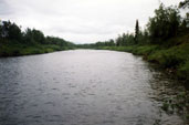 Пальник-Ю перед устьем