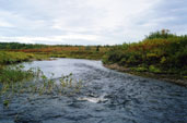 Перекат